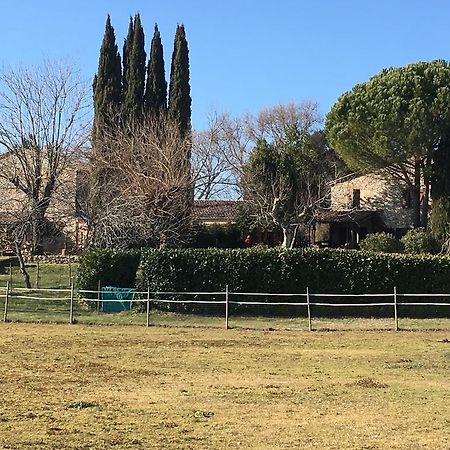 Podere Conte Racani アメリア エクステリア 写真