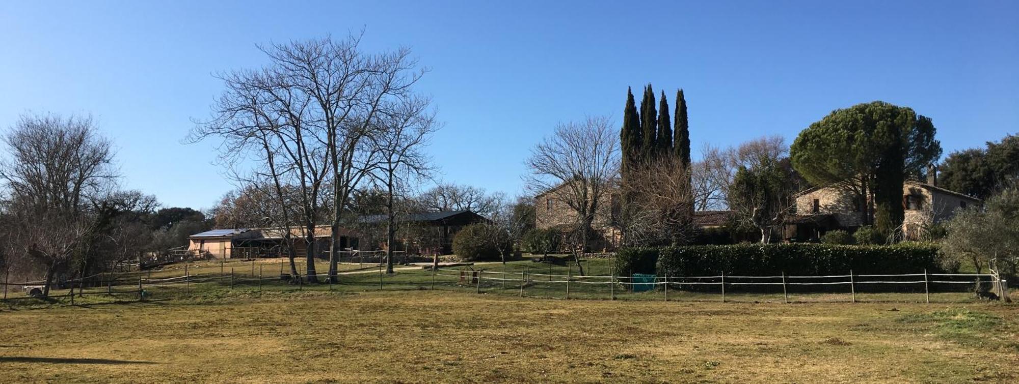 Podere Conte Racani アメリア エクステリア 写真