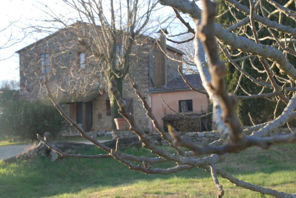 Podere Conte Racani アメリア エクステリア 写真