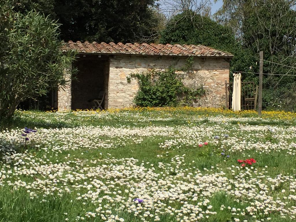 Podere Conte Racani アメリア エクステリア 写真