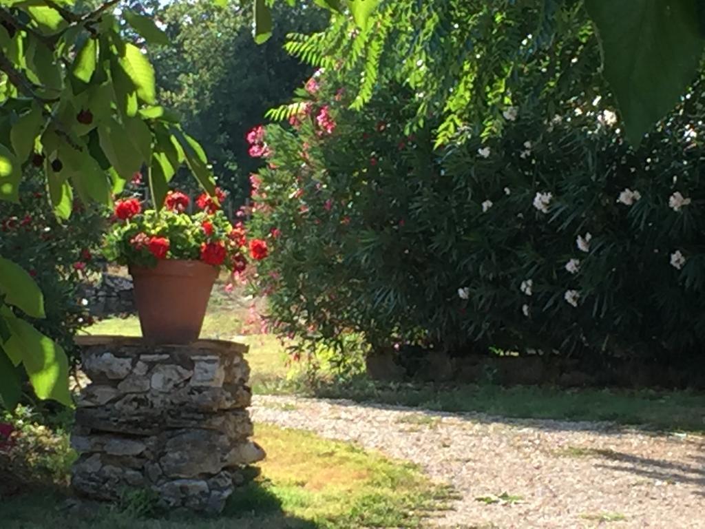 Podere Conte Racani アメリア エクステリア 写真