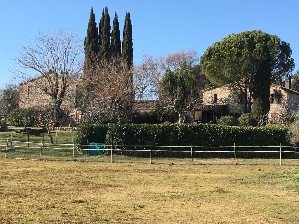 Podere Conte Racani アメリア エクステリア 写真