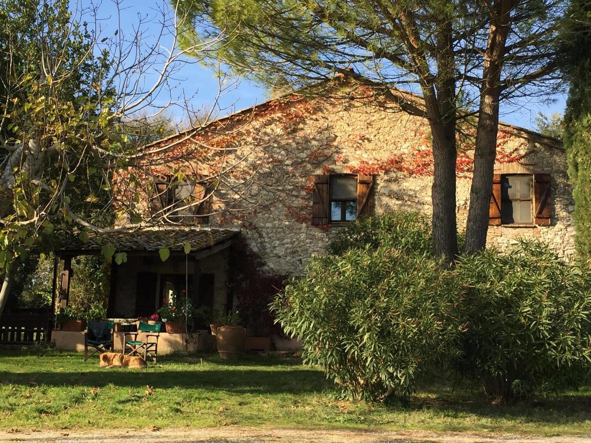 Podere Conte Racani アメリア エクステリア 写真