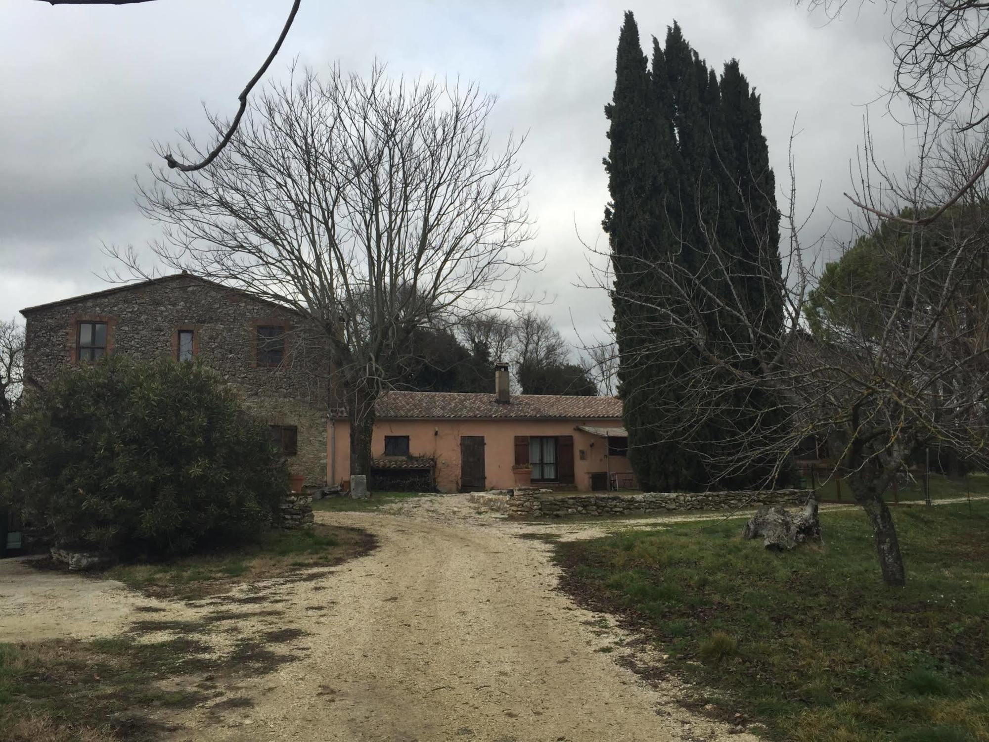 Podere Conte Racani アメリア エクステリア 写真