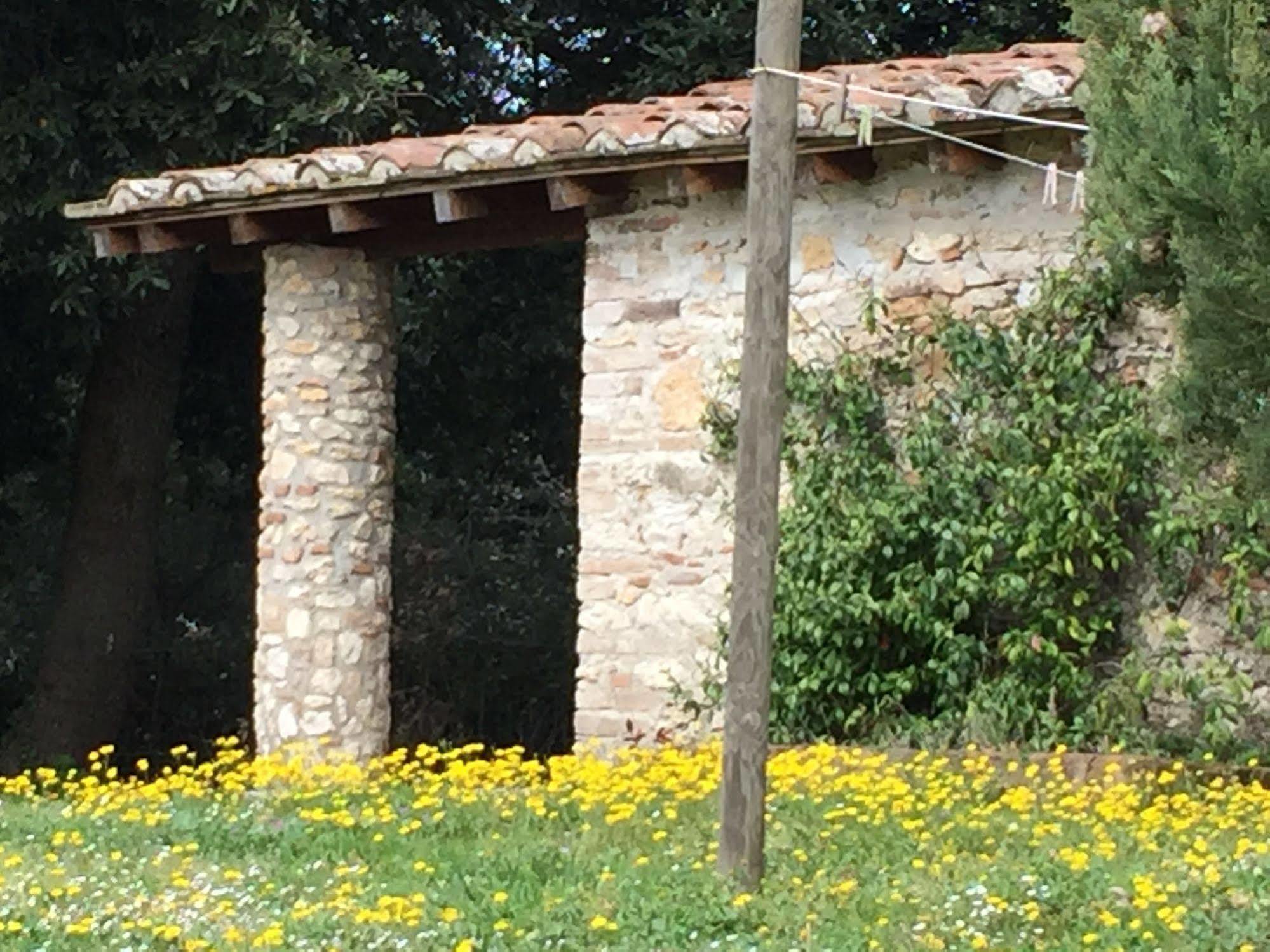Podere Conte Racani アメリア エクステリア 写真