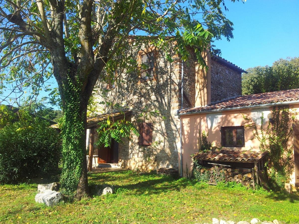 Podere Conte Racani アメリア 部屋 写真